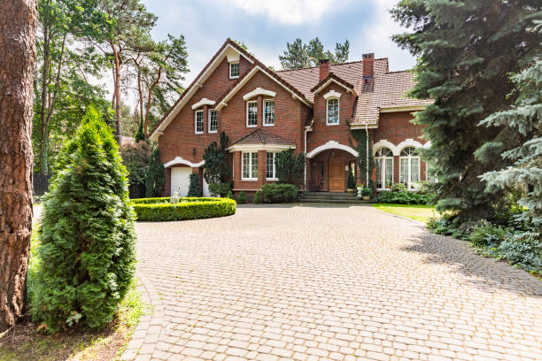 Best Residential Driveway Paver Services  in Agua Dulce, TX