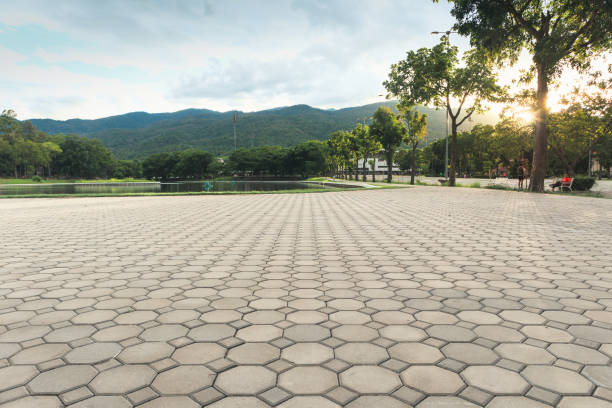 Best Driveway Resurfacing Pavers  in Agua Dulce, TX