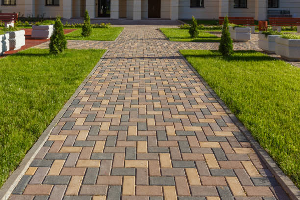 Best Commercial Driveway Pavers  in Agua Dulce, TX